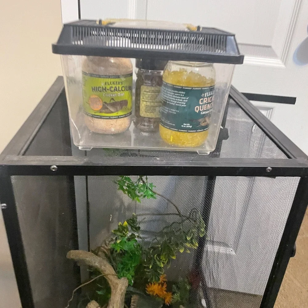 Everything needed to bring home your new reptile - Custom Package Discounts